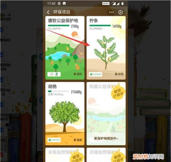 蚂蚁森林怎么种树，支付宝公益活动蚂蚁森林怎么种树
