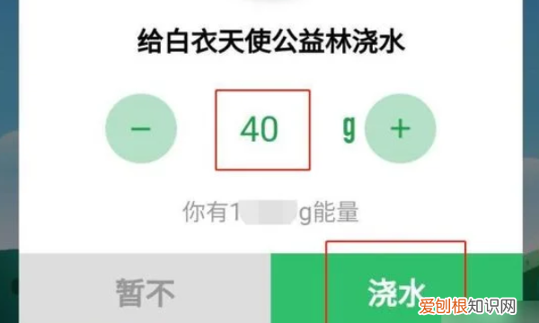 蚂蚁森林怎么种树,支付宝公益活动蚂蚁森林怎么种树