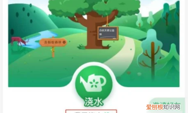 蚂蚁森林怎么种树,支付宝公益活动蚂蚁森林怎么种树