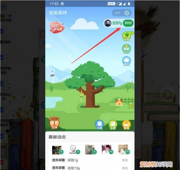 蚂蚁森林怎么种树，支付宝公益活动蚂蚁森林怎么种树