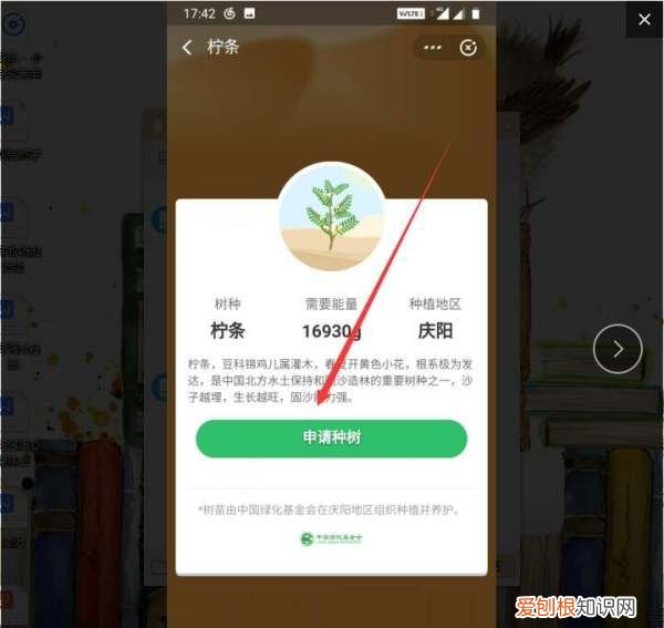 蚂蚁森林怎么种树，支付宝公益活动蚂蚁森林怎么种树