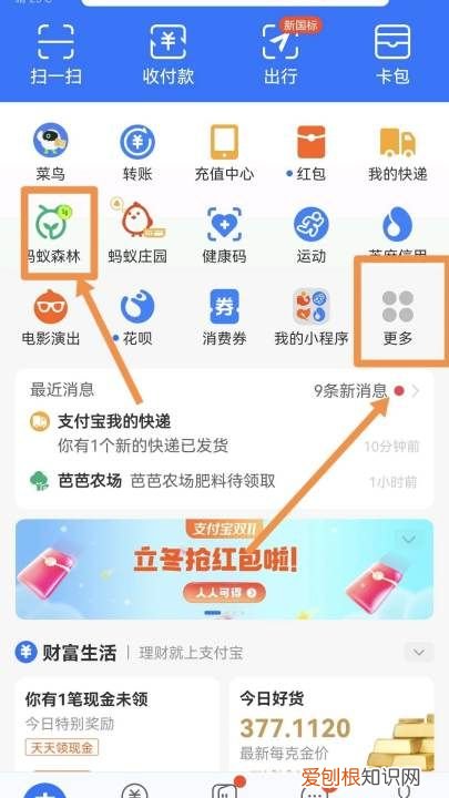 蚂蚁森林怎么种树,支付宝公益活动蚂蚁森林怎么种树