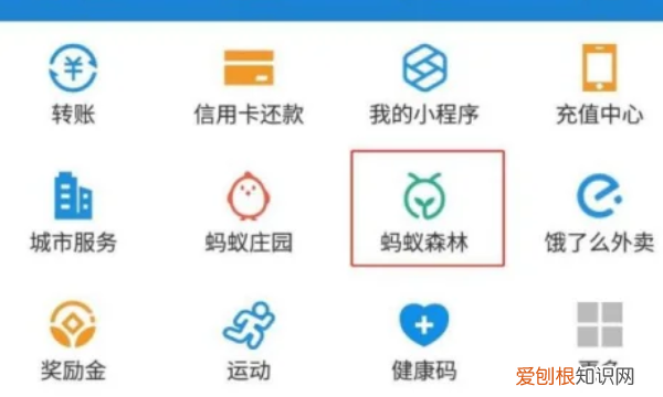 蚂蚁森林怎么种树，支付宝公益活动蚂蚁森林怎么种树