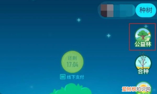 蚂蚁森林怎么种树，支付宝公益活动蚂蚁森林怎么种树