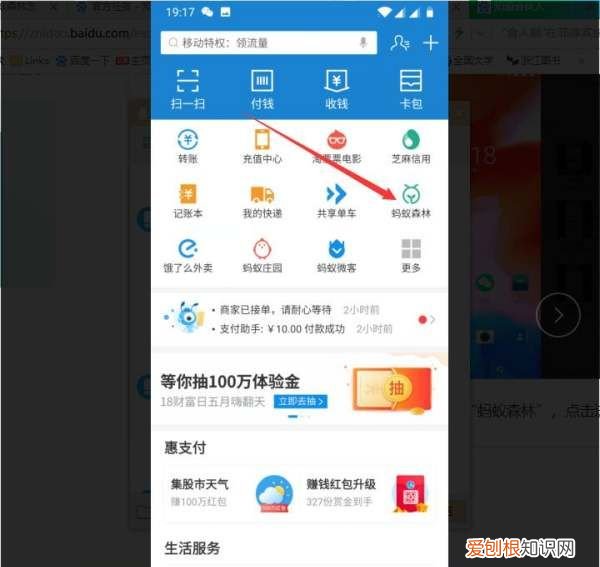 蚂蚁森林怎么种树，支付宝公益活动蚂蚁森林怎么种树