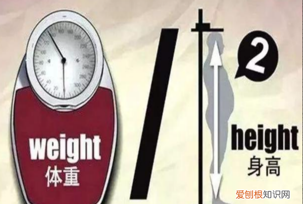 体重指数的计算公式是什么，体重指数bmi怎么计算看不懂