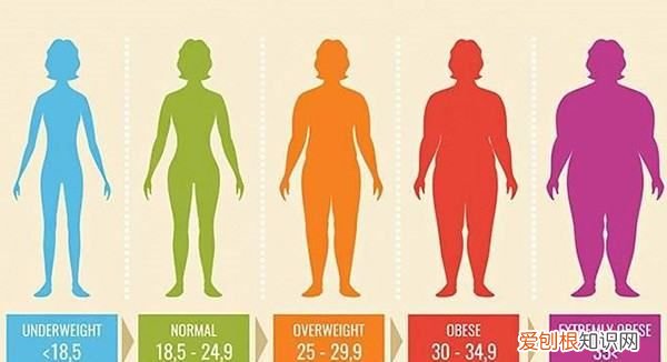 体重指数的计算公式是什么，体重指数bmi怎么计算看不懂