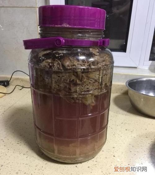 葡萄酒的做法 自酿，葡萄酒的做法自酿白酒全过程