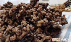 拐枣产地是哪里，拐枣吃了有啥好处