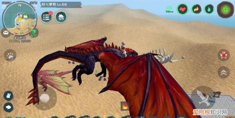 创造与魔法飞龙一周刷几只，创造与魔法火龙一周刷几只