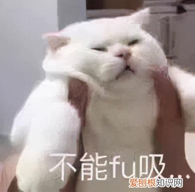 染发剂到底致不致癌？实测16款热门染发剂，终于搞清楚了