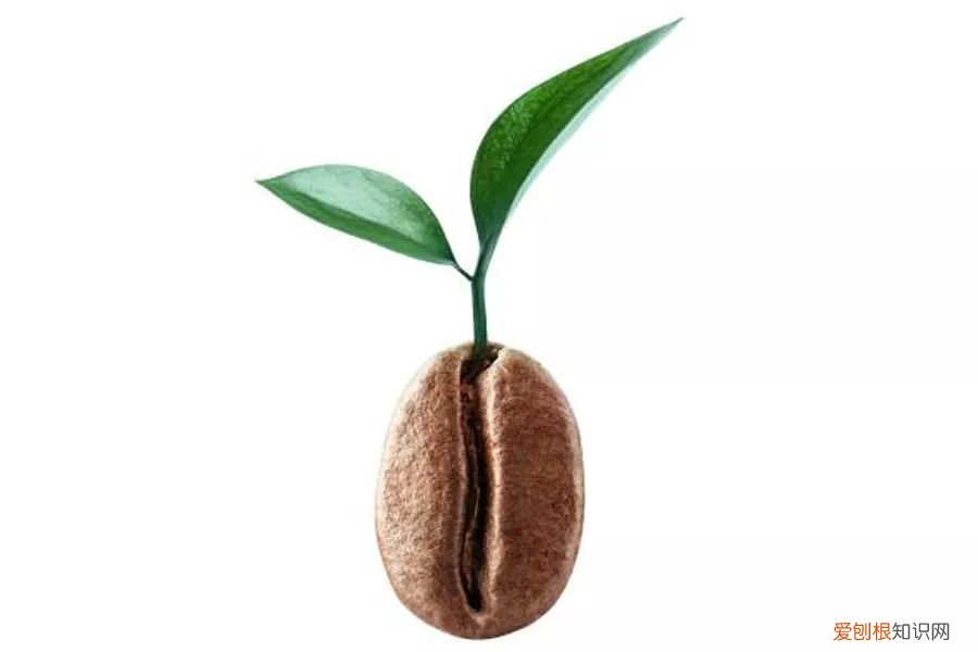 关于葡萄酒甜味的那些事儿(更多消费者青睐甜葡萄酒）