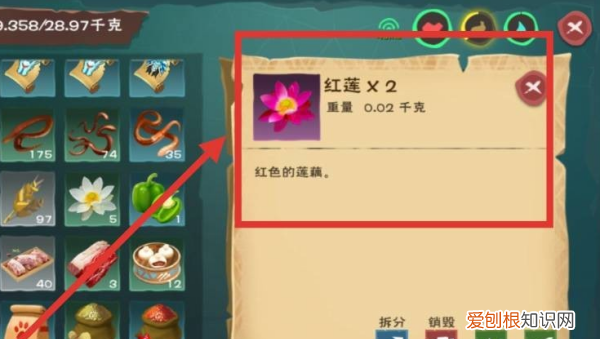创造与魔法蓝莲刷新时间,创造与魔法红莲有什么作用