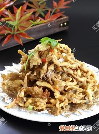 炸蘑菇用什么菇，炸蘑菇用什么蘑菇