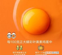 叶黄素鸡蛋与普通鸡蛋的区别