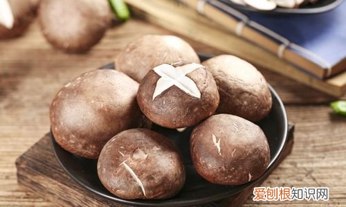 冬菇是什么,别人说你是冬菇是什么意思