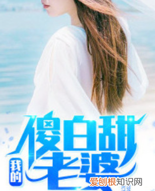 陈平刘家上门婿小说叫什么名字