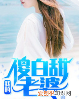 陈平刘家上门婿小说叫什么名字