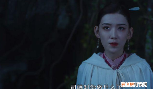 司藤里的沈银灯是坏人吗,司藤跟沈银灯什么时候死