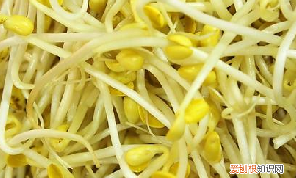 黄豆芽绿了能食用，黄豆芽变成绿色的了还能吃吗有毒吗