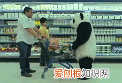 动漫gif表情包哔哩哔哩