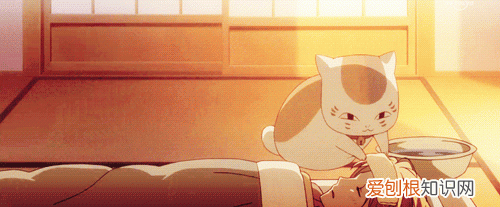 动漫gif表情包哔哩哔哩