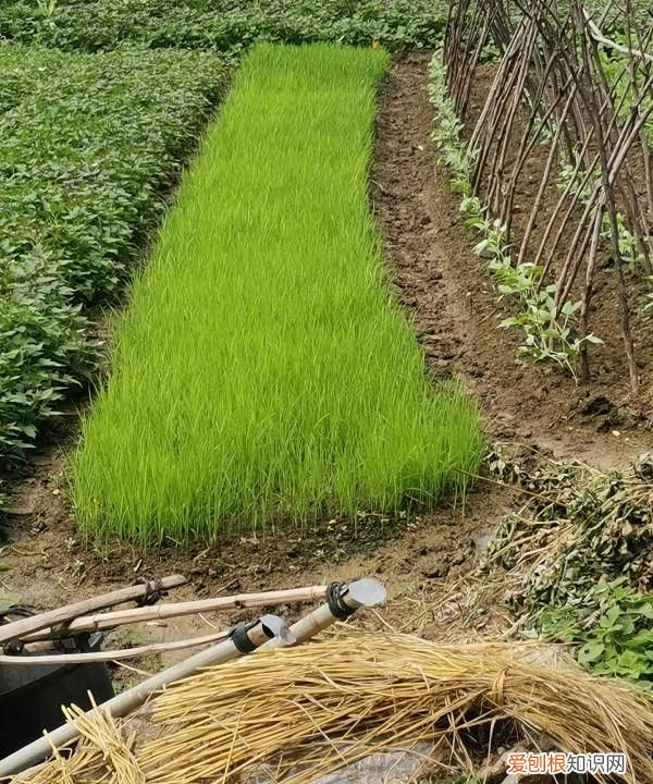 c1驾驶证6年后换证的注意事项