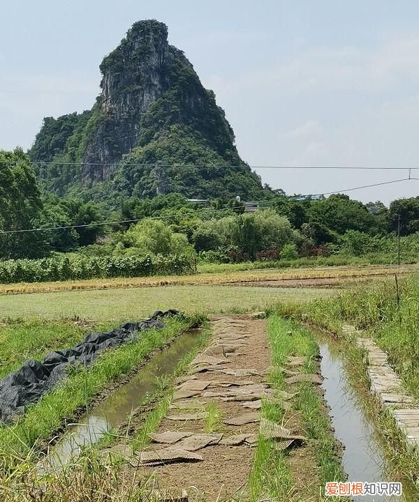 c1驾驶证6年后换证的注意事项