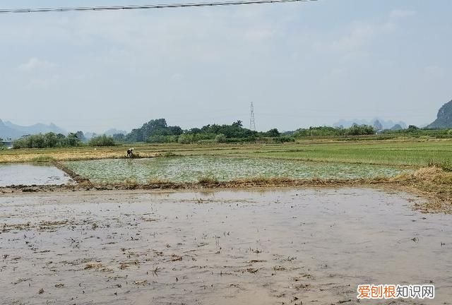 c1驾驶证6年后换证的注意事项