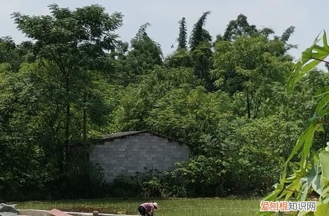 c1驾驶证6年后换证的注意事项