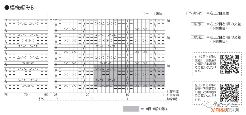 服装款式图正反面图片