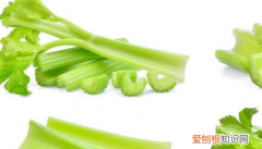 为什么西芹不容易熟，为什么优良家的芹菜咬不动呢