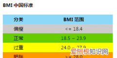 bml是什么，bml26.1是什么意思