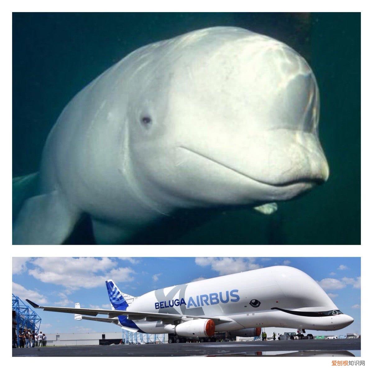 造大飞机有多难？100万零件送往6个总装厂，其中一个在中国