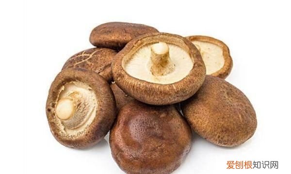 怎么判断香菇熟没熟,怎么判断海鲜菇熟了没