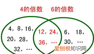 6是6的倍数,六的倍数是什么