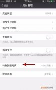 转账应该如何才可以退回，微信转账如何退回原支付渠道