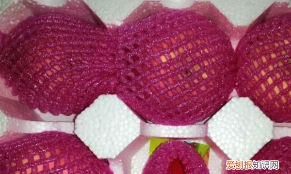 合种水果怎么加入不了，美团免费种水果活动攻略