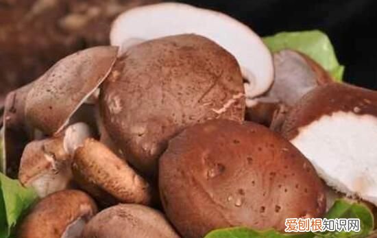 香菇变黑了还能吃吗,香菇怎样保存才能不发黑