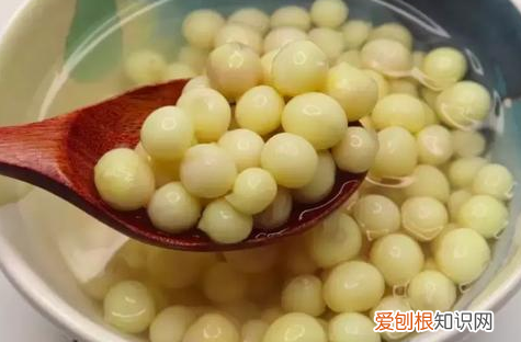 鸡头米煮多久能熟,鸡头米焯水多长时间熟