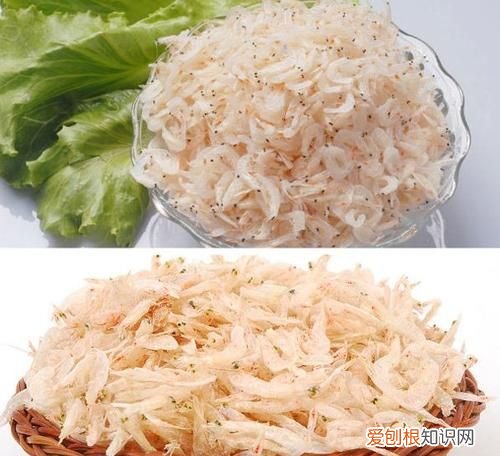 虾皮有哪些营养价值，虾皮跟虾肉哪个更有营养价值