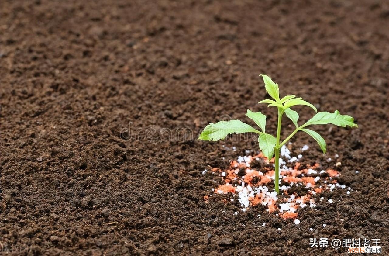 2023年2月16日、17日复合肥行情