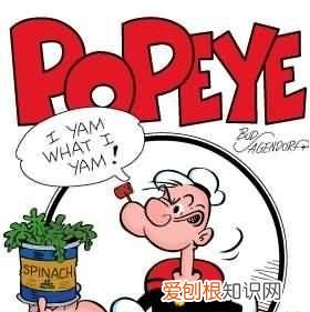 大力水手叫什么,大力水手里那个大胡子坏蛋叫什么