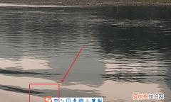 电脑怎么打顿号，电脑顿号可以咋打出