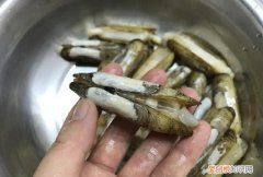 蛏子哪些部位不能吃