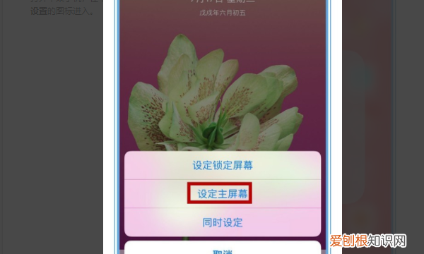 怎么更换手机主题，苹果手机怎么换壁纸和主题字体