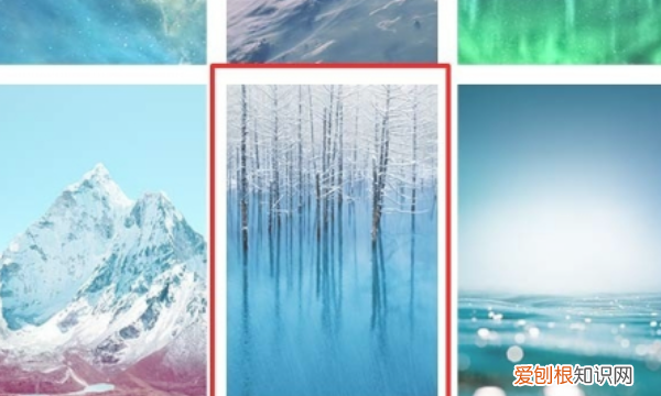 怎么更换手机主题，苹果手机怎么换壁纸和主题字体