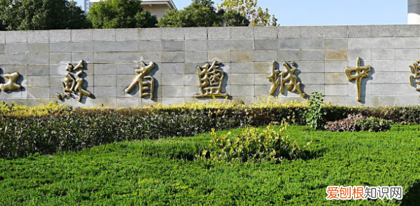 盐城中考查分时间2020，盐城中考分数线2022年公布时间