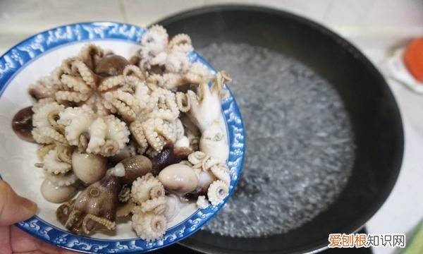 八爪鱼家常做法，八爪鱼怎么做好吃 家常做法