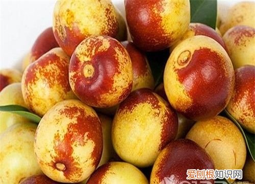 冬枣冷冻后还能吃吗,下过雪的枣冻了能吃